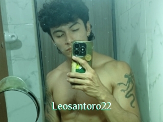 Leosantoro22