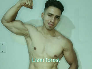 Liam_forest
