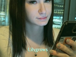 Lilygrows