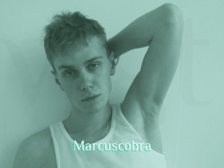 Marcuscobra