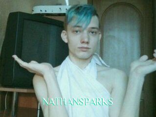 NATHAN_SPARKS
