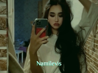 Namilevis