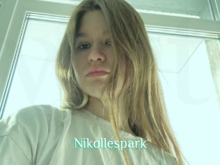 Nikollespark
