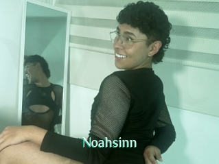 Noahsinn