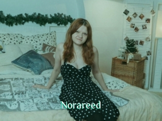 Norareed