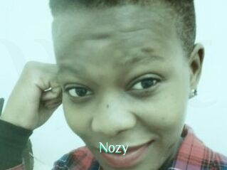 Nozy
