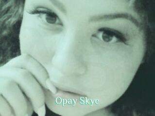 Opay_Skye