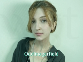 Odelinagarfield