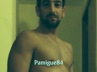 Pamigue84