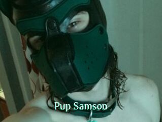 Pup_Samson