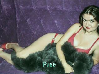 Puse