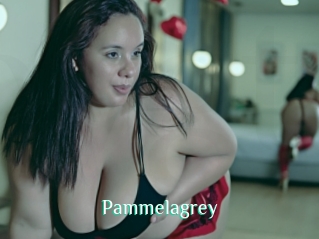 pammelagrey Wild Girls TGP