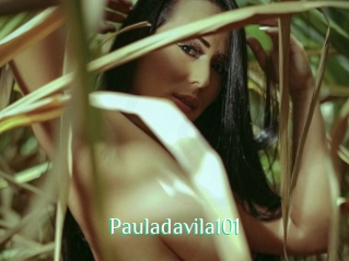 Pauladavila101