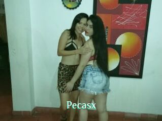 Pecasx