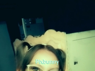 Pixbunny