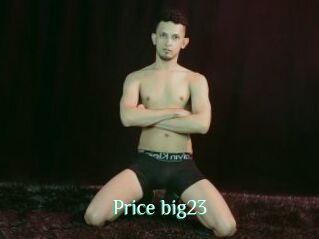 Price_big23