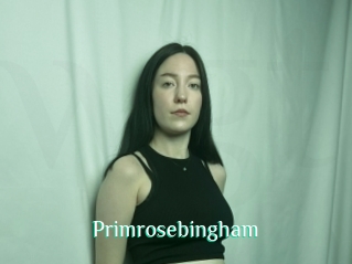 Primrosebingham