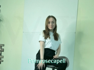 Primrosecapell