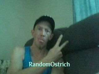 RandomOstrich