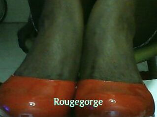 Rougegorge