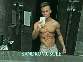SANDRO_MUSCLE