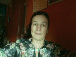 Sandy43