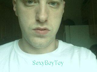 SexyBoyToy