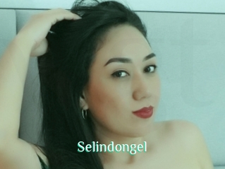 Selindongel