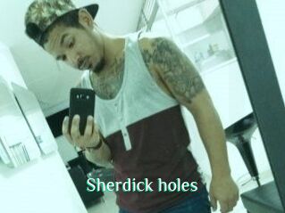 Sherdick_holes