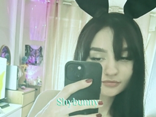 Shybunny