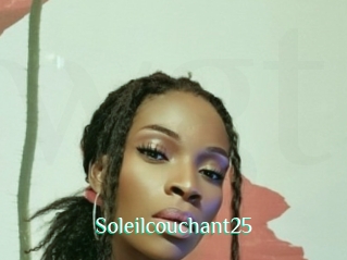 Soleilcouchant25