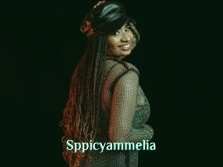 Sppicyammelia