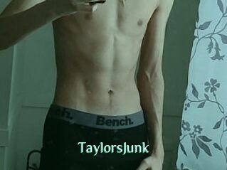 TaylorsJunk