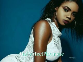 ThePerfectPlaymate