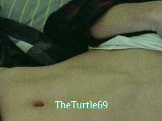 TheTurtle69