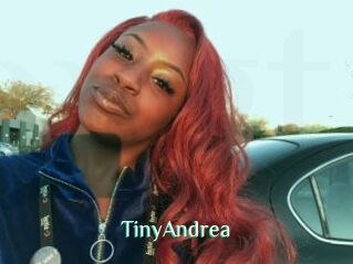 TinyAndrea
