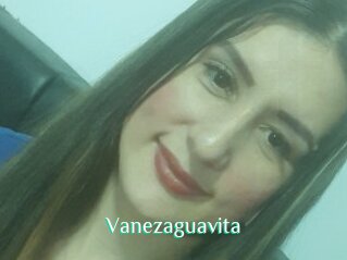 Vanezaguavita