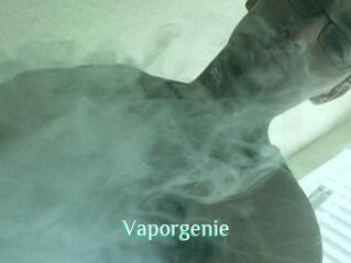 Vapor_genie