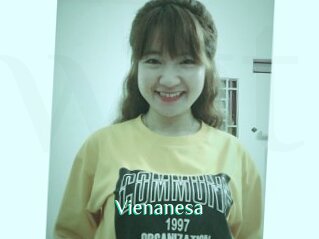 Vienanesa