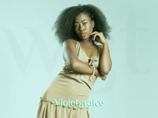 Violetgraice
