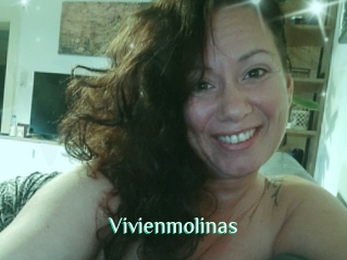 Vivienmolinas