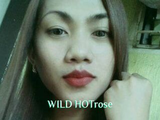 WILD_HOTrose