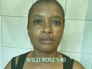 WILD_ROSEY40