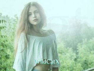 Wild_CatX