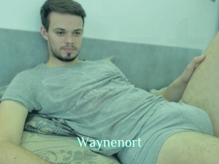 Waynenort
