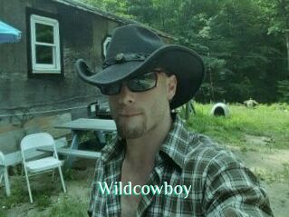 Wildcowboy