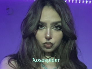 Xoxospider