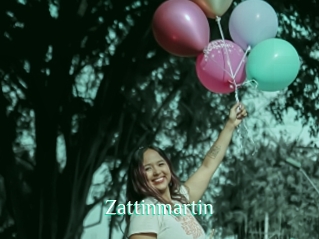 Zattinmartin